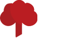 TAOS Injury Lawyers